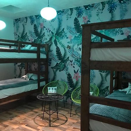 Hoja Santa Hostal Boutique Cholula Luaran gambar
