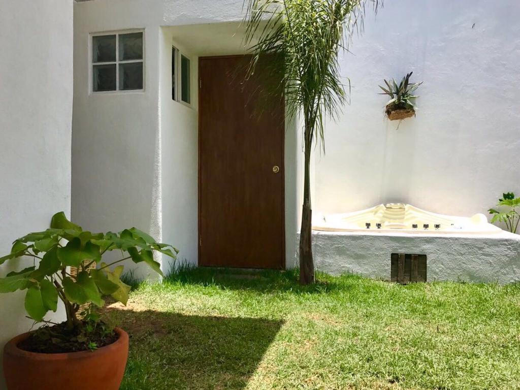 Hoja Santa Hostal Boutique Cholula Luaran gambar